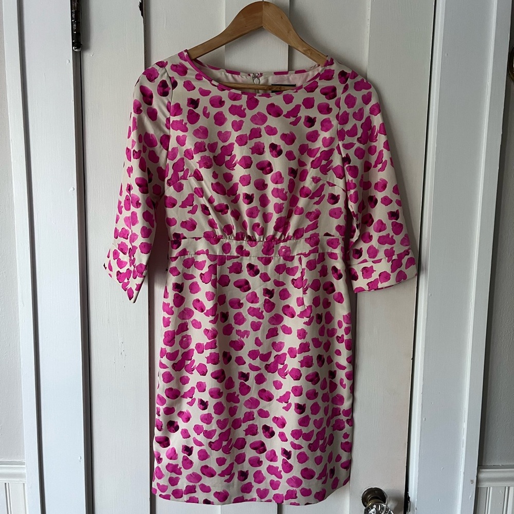 The Limited Pink and Cream Dress